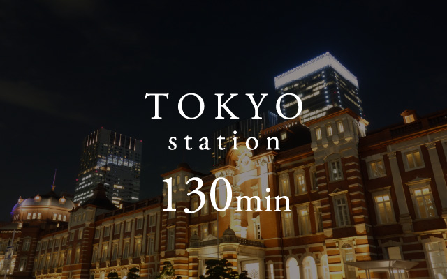 Tokyo station 130mm